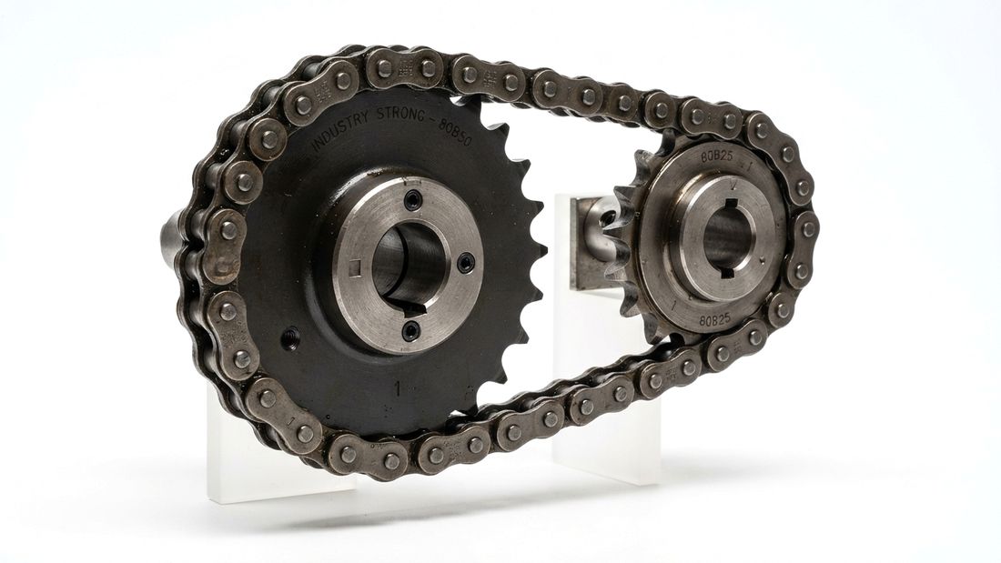 Roller chain and sprockets